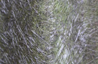 Barkby fibreglass roof work